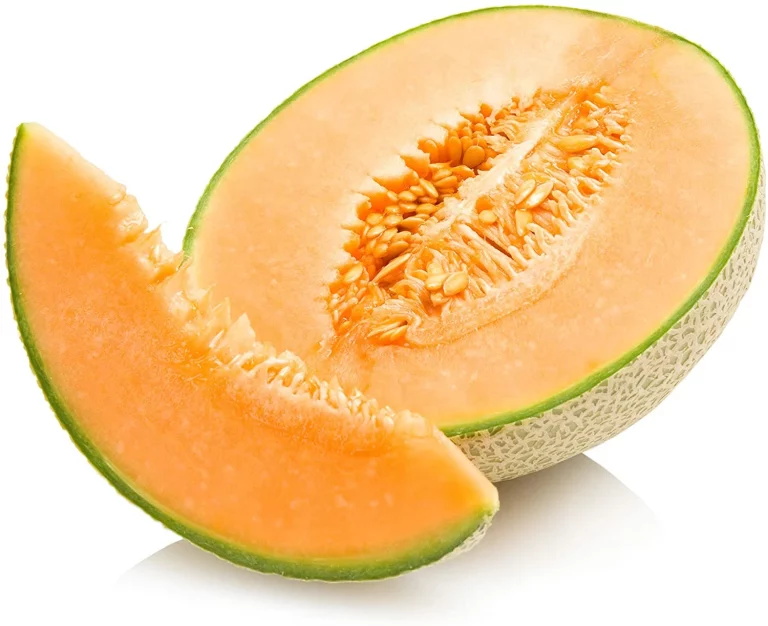 Melon Cantalupe Hales best Jumbo