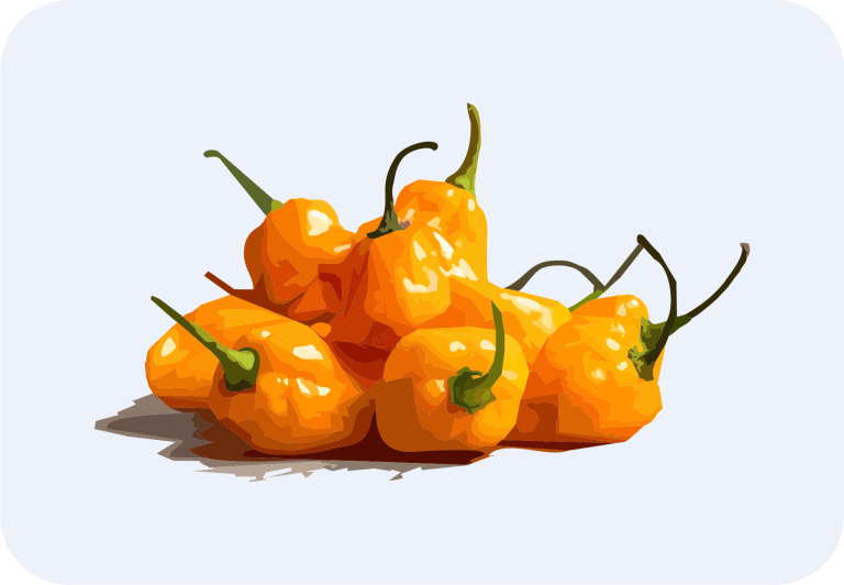 Habanero Orange Hot Pepper