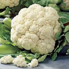 Cauliflower Snowball Self - Blanching 